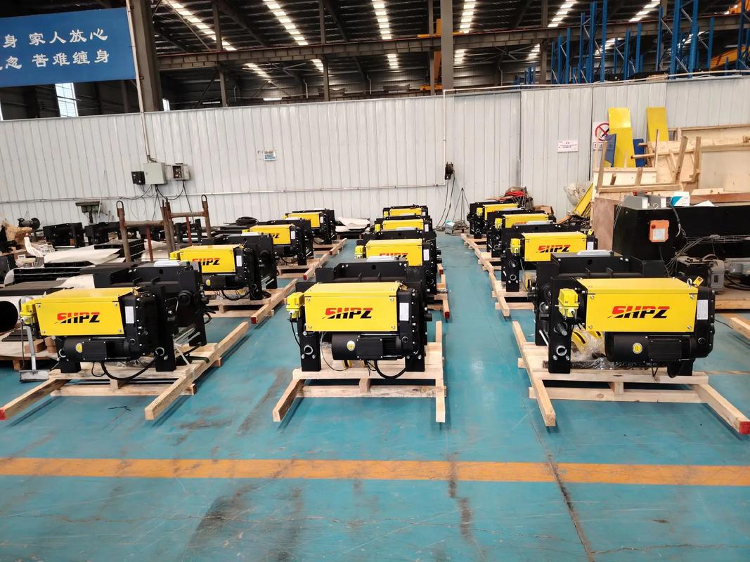 高效耐用，省心之選 上海鵬重IP55防水歐式葫蘆的卓越性能與免維護優勢